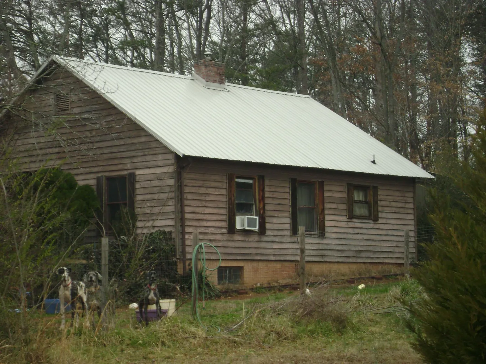 White metal roof on an old wood sided farmhouse, from a Asphalt Shingle Roof Repair job in Stanford